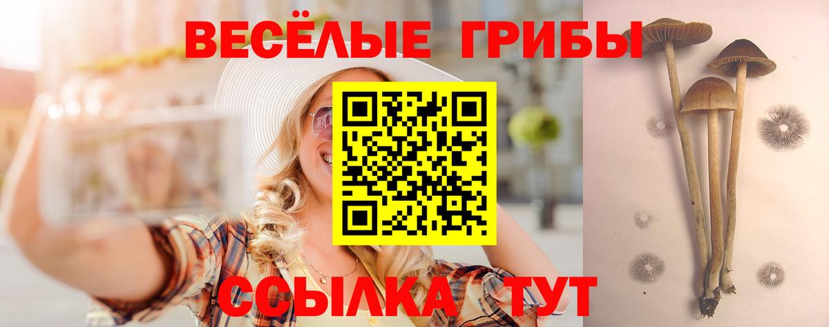 цены   Псилоцибиновые грибы ЛСД  Вход с VPN  Сибай 